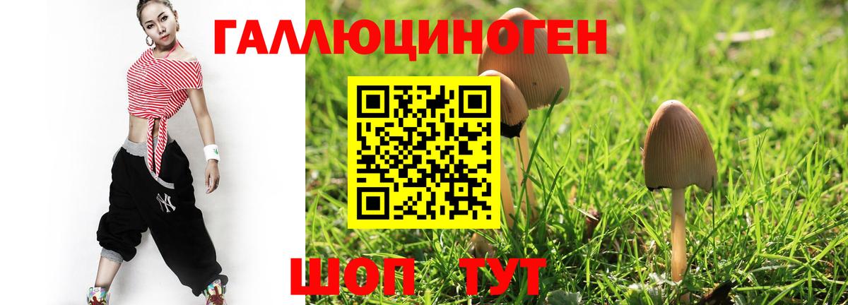 Галлюциногенные грибы MAGIC MUSHROOMS  Вход с VPN  Благовещенск 